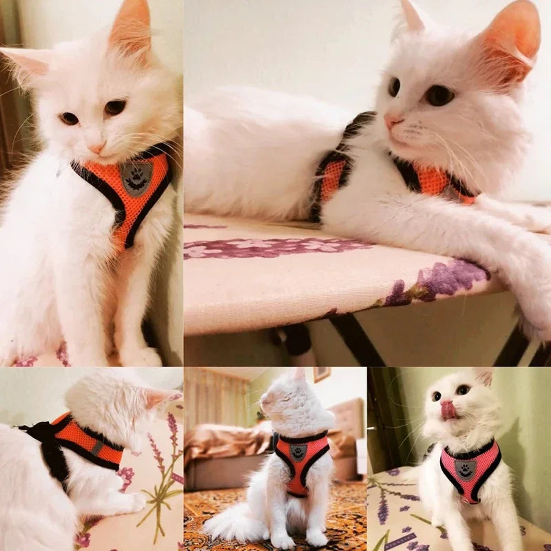 Adjustable Escape-Proof Cat Harness and Leash Set - Soft Mesh Reflective Vest for Kittens and Small Dogs