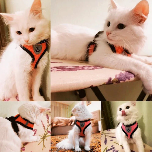 Adjustable Escape-Proof Cat Harness and Leash Set - Soft Mesh Reflective Vest for Kittens and Small Dogs