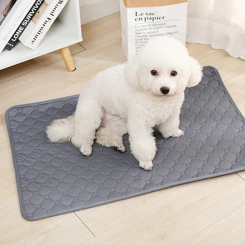 Washable Leak-Proof Training Pads